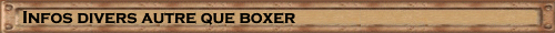 autre que Boxer