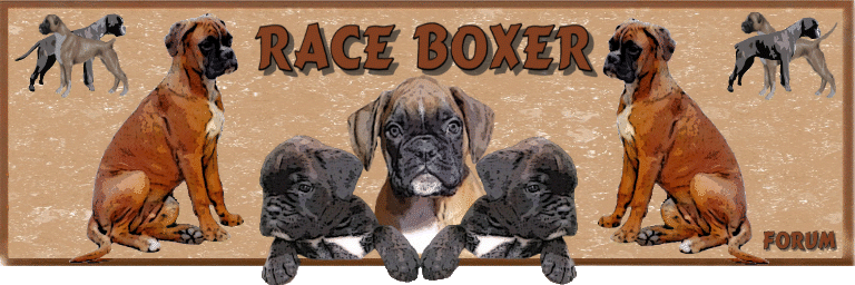 Go vers le forum Race.Boxer