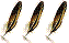 Plume de Corail Plume de Corail