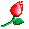 w7 w7
