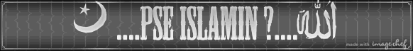Pse Islamin?