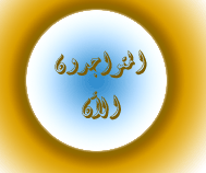 المتواجدون الآن ؟