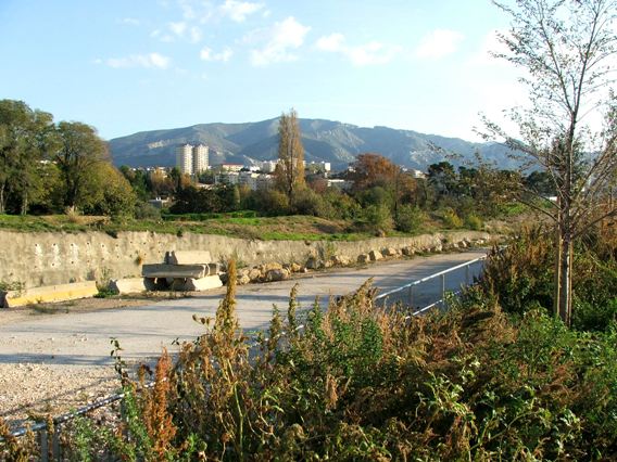 http://i40.servimg.com/u/f40/11/50/99/75/dscf0519.jpg