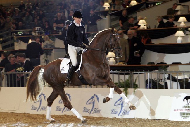 comment apprendre le piaffer a son cheval