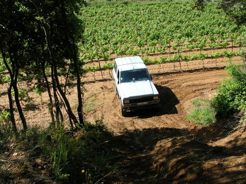 sany0030.jpg