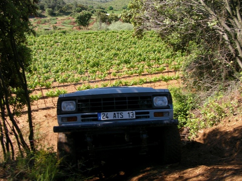 sany0031.jpg