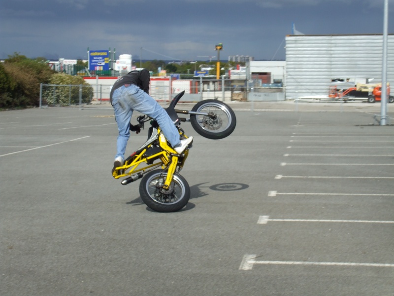 2910.jpg