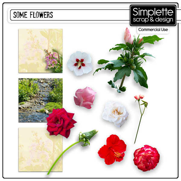 some flowers CU simplette