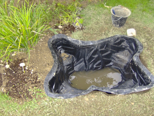 petit bassin dans un jardin
