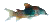 Poissons de fond
