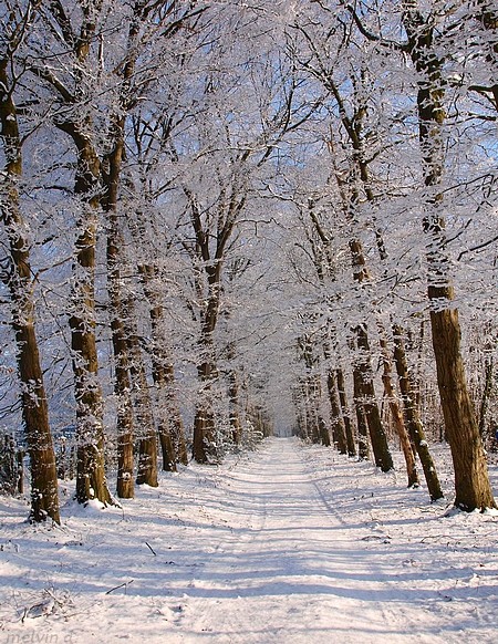 Image hébergée par servimg.com