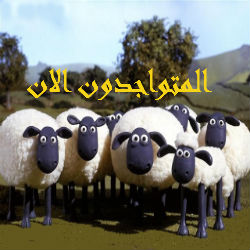 المتواجدون الآن ؟