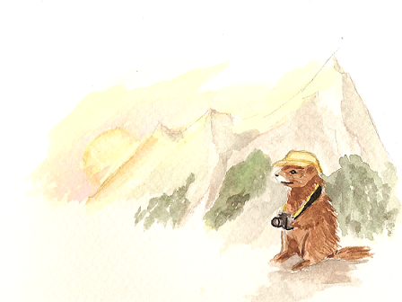 marmot10.png