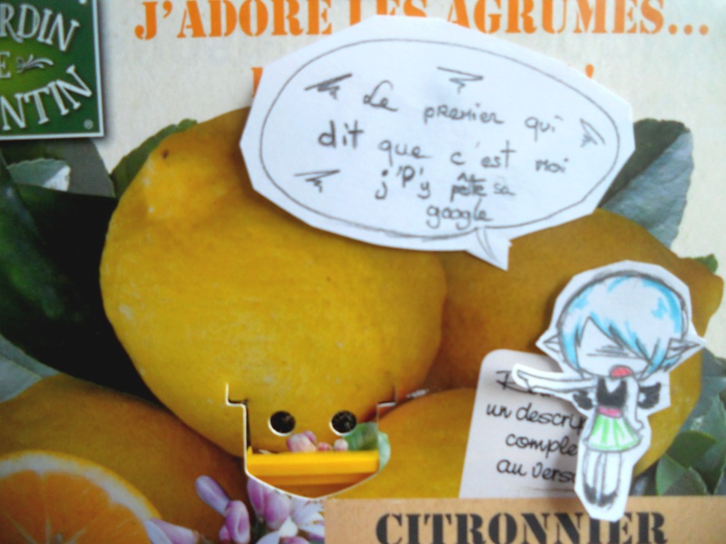 Dessin-collage citron-citrobscure
