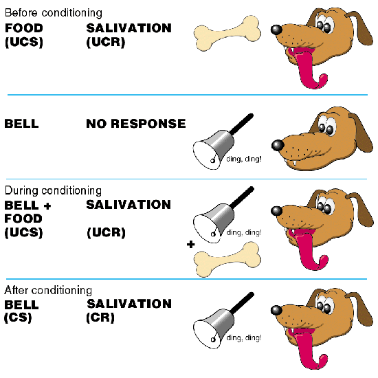 Classical Operant Conditioning