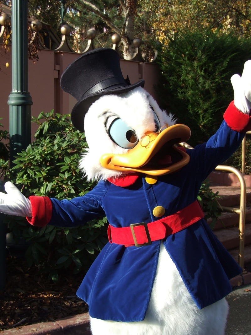 dscf1615.jpg