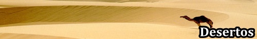 Deserto