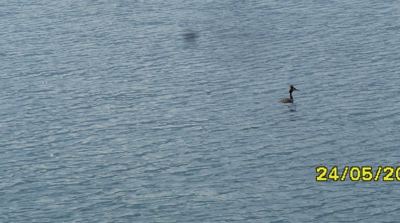 sortir rencontre annecy