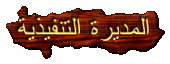 المديرة التنفيذية المديرة التنفيذية