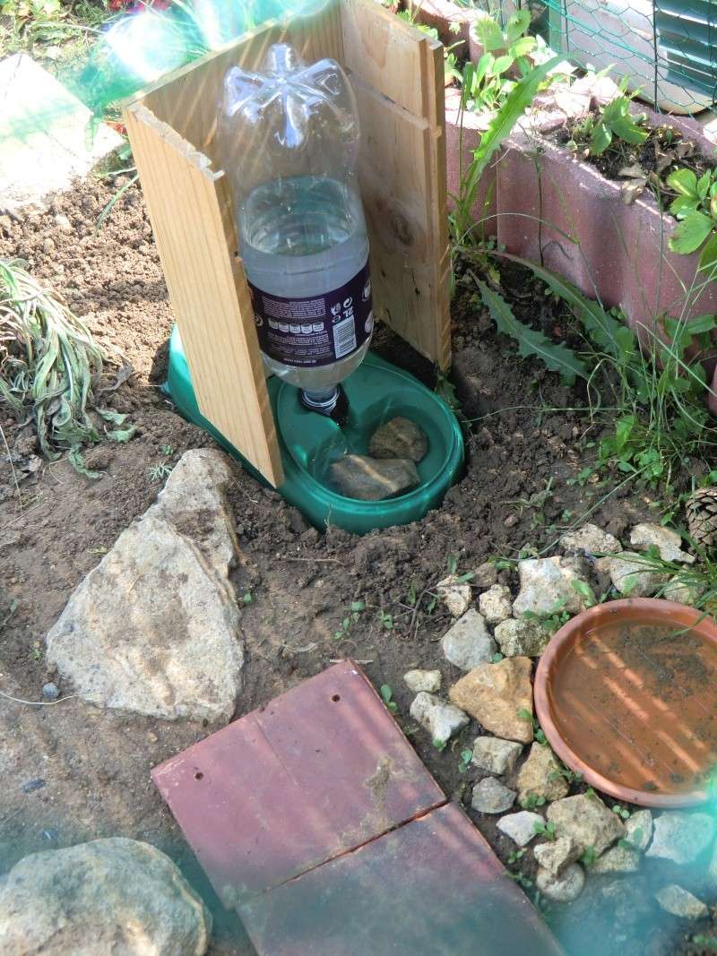 Fabriquer Un Distributeur D Eau Pour Tortue Terrestre Distributeur d'eau pour les vacances