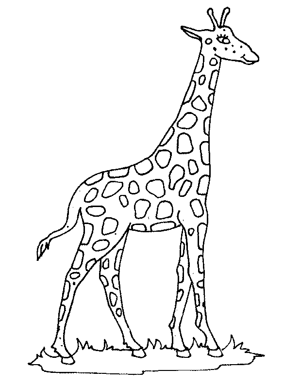 girafe11.gif