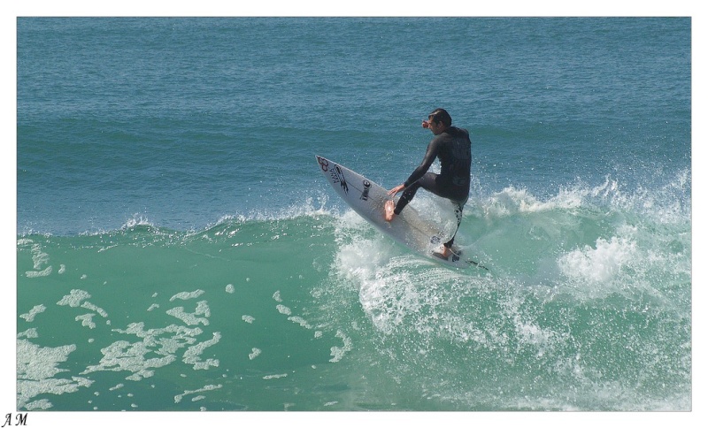 surf5110.jpg