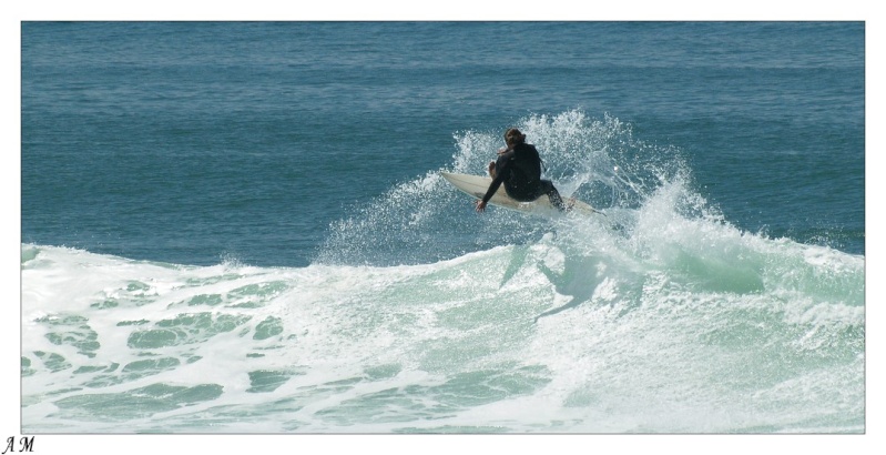 surf5510.jpg