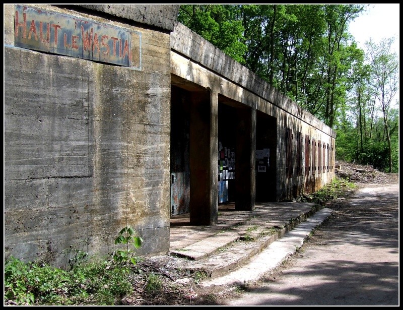 bunker11.jpg