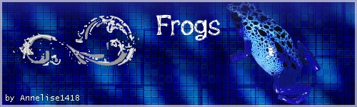 frogs_11.jpg