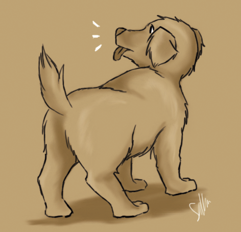 dog_by10.png