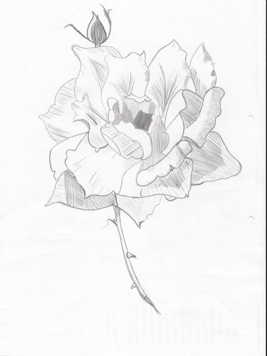 fleur10.jpg