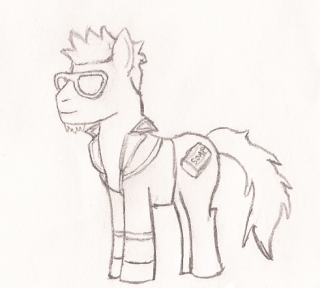 pony_t11.png